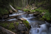 Stream near Crested Butte Colorado USA 