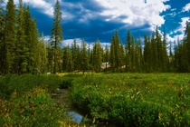 Stream Through meadow Lassen National Park California USA