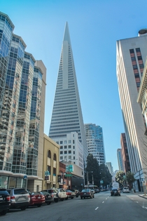 Street-level view of Transamerica Pyramid in San Francisco 