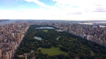 Stunning Central park NYC x