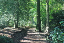 Styalwoods Path Cheshire England 