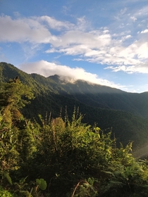 Sub-tropical Himalayan rainforest 