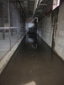 Submerged tunnel door in abandoned asylum