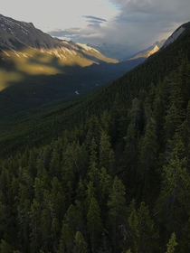 Sulphur Mountain Banff Alberta Canada 