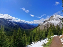 Sulphur Skyline Trail Jasper AB Canada x 