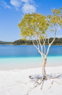 Summer day on Lake Mckenzie Fraser Island Australia x OC