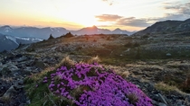 Summer Solstice Sunset Below Coquihalla Mountain British Columbia 
