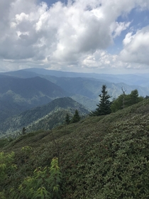 Summit of Mt LeConte Tennessee Smoky Mountains USA  OC