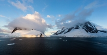 Sun and shade Booth Island and Mount Cloos respectively Antarctic Peninsula 