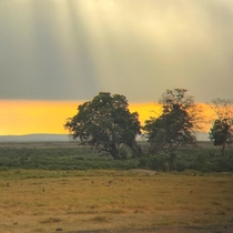 Sun rays at Amboseli National Park Kenya OC  x 