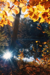 Sun reflection in autumn Germany 