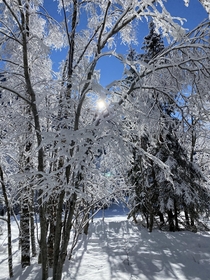 Sunny winter dayin Chamonix France
