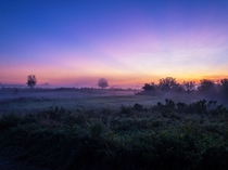 Sunrise at Balm Boyette Scrub Preserve FL 