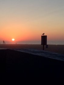 Sunrise at Ocean City MD