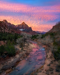 Sunrise at The Watchman Zion National Park Utah 