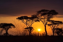 Sunrise in Kenyas Meru National Park 