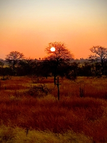 Sunrise in Kruger National Park ZA 
