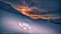Sunrise in the austrian mountains incl animal tracks fox tracks Austria Alps 