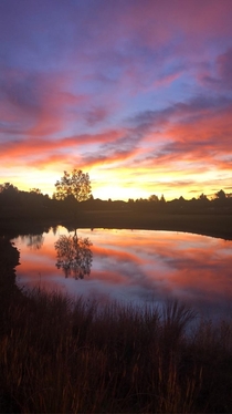 Sunrise over a pond in Colorado CO USA 
