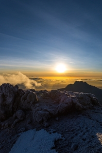 Sunrise over the arctic alpine of Kilimanjaro 