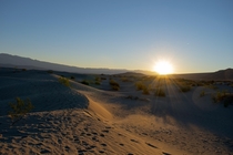 Sunrise over the dunes in Death Valley Death Valley CA 