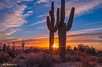 Sunrise Sunburst In North Scottsdale Arizona Desert Preserve   x  IG swvisionsnow