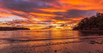 Sunrise - Ulladulla Australia   x 