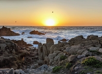 Sunset along the coastline in Carmel California 