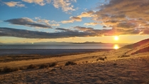 Sunset at Buffalo Point Antelope Island Utah USA 