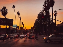Sunset Boulevard Los Angeles  California 