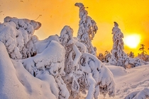 Sunset Finland  OC