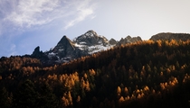Sunset forests in Soglio Switzerland 