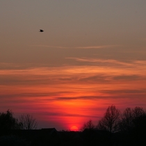 Sunset from my backyard in Belgium