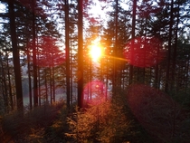 Sunset in Black Forest  