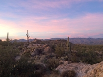 Sunset in Saguaro National Park Arizona 