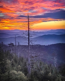 Sunset in the Great Smoky Mountains National Parkphoto by Adam Gravett 