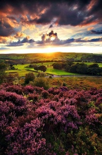 Sunset  Norland Moor Halifax England 