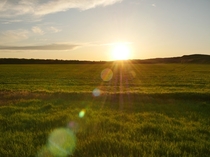 Sunset on a field in South Dakota 