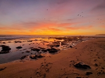 Sunset on the central California coast  x