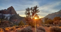 Sunset on the Watchman Trail Zion National Park Utah USA 