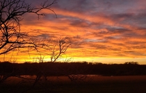 Sunset Outside My Home  Deep South Texas