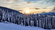 Sunset over the snowy trees in Hafjell 