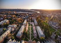 Sunset over UWs cherry blossoms in Seattle