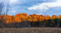 Sunset rays highlighting the Autumn colors - Ontario Canada 