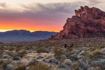 Sunsets never disappoint at Valley of Fire State Park 