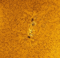 Sunspot  