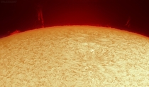 Sunspot AR  and solar prominences