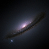 Supernova D in the galaxy NGC  