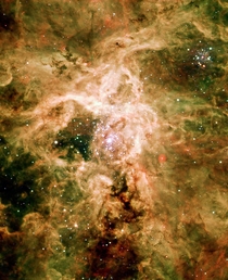 Supernova Remnant NGC  
