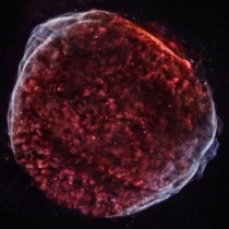 Supernova SN  as seen by Chandra Observatory 